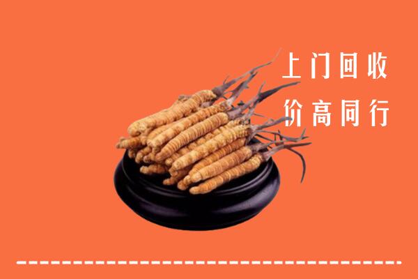 高价求购：金昌回收散虫草