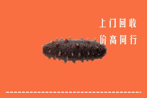 高价求购：金昌回收海参